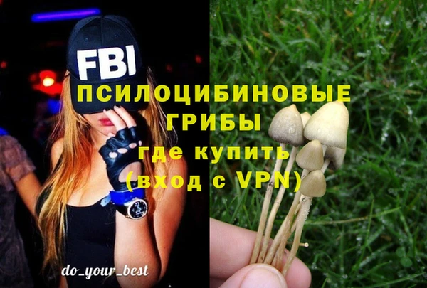 MDMA Алексеевка