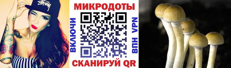Псилоцибиновые грибы Magic Shrooms  KRAKEN ссылка  Фатеж  купить наркотик 
