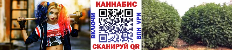Канабис конопля Фатеж